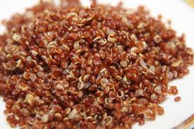Quinoa Roja - Irupana Andean Organic Food S.A.